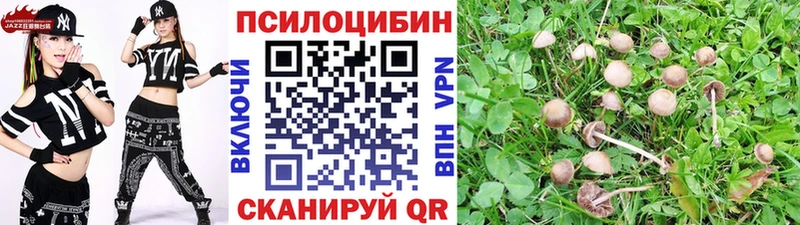 ОМГ ОМГ рабочий сайт Чайковский Псилоцибиновые грибы MAGIC MUSHROOMS сколько стоит